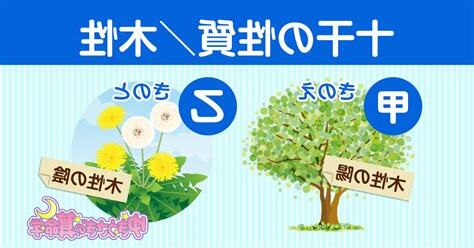 乙木 性格